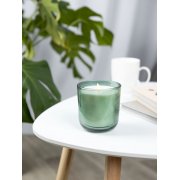 Набор Vitral, дубовый мох и пачули, зеленый