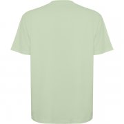 Футболка оверсайз BULL, ТУМАННО-ЗЕЛЕНЫЙ  L арт. CA656003264