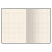 Бизнес-тетрадь А5 «Pragmatic Contrast»