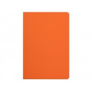 Бизнес-тетрадь А5 «Pragmatic Contrast»