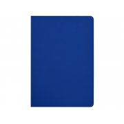 Бизнес-тетрадь А5 «Pragmatic Contrast»