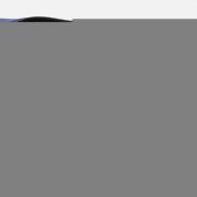 Спортивная сумка Atlantes, синяя с черным