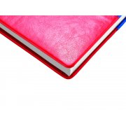 Ежедневник недатированный А5+ «Россия. Флаг»