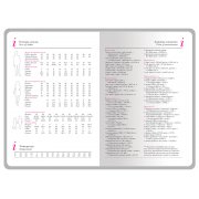 Ежедневник недатированный А5+ «Россия. Флаг»