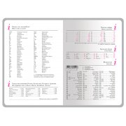 Ежедневник недатированный А5+ «Россия. Флаг»