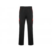 Брюки «Trooper», мужские арт. 8408PA0260