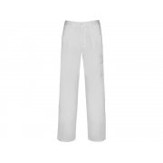 Брюки «Pintor», мужские арт. 9102PA01