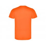 Футболка «Akita» мужская арт. 6534CA223