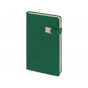 Ежедневник недатированный А5 «Premier»