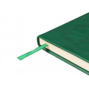 Ежедневник недатированный А5 «Premier»