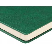 Ежедневник недатированный А5 «Premier»