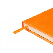 Ежедневник недатированный А5 «Premier»