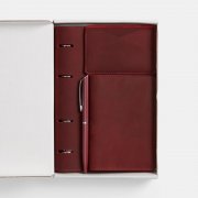 Набор inStream Maxi, красный арт. 21669.50