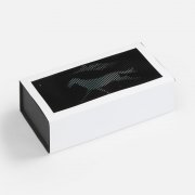 Коробка «Динамика успеха»