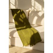 Плед вафельный Elenglect, зеленый