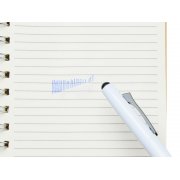 Пластиковая шариковая ручка пиши-стирай «InkShift» арт. 180933