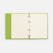 Ежедневник Ringo, недатированный, зеленый