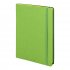 Бизнес-блокнот "RILY", формат А5,  зеленое яблоко, блок в точку Зеленый