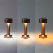 Настольная лампа c встроенной батареей REIKI, черный