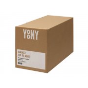 Биокамин с вьющимся пламенем «Dance of flame»