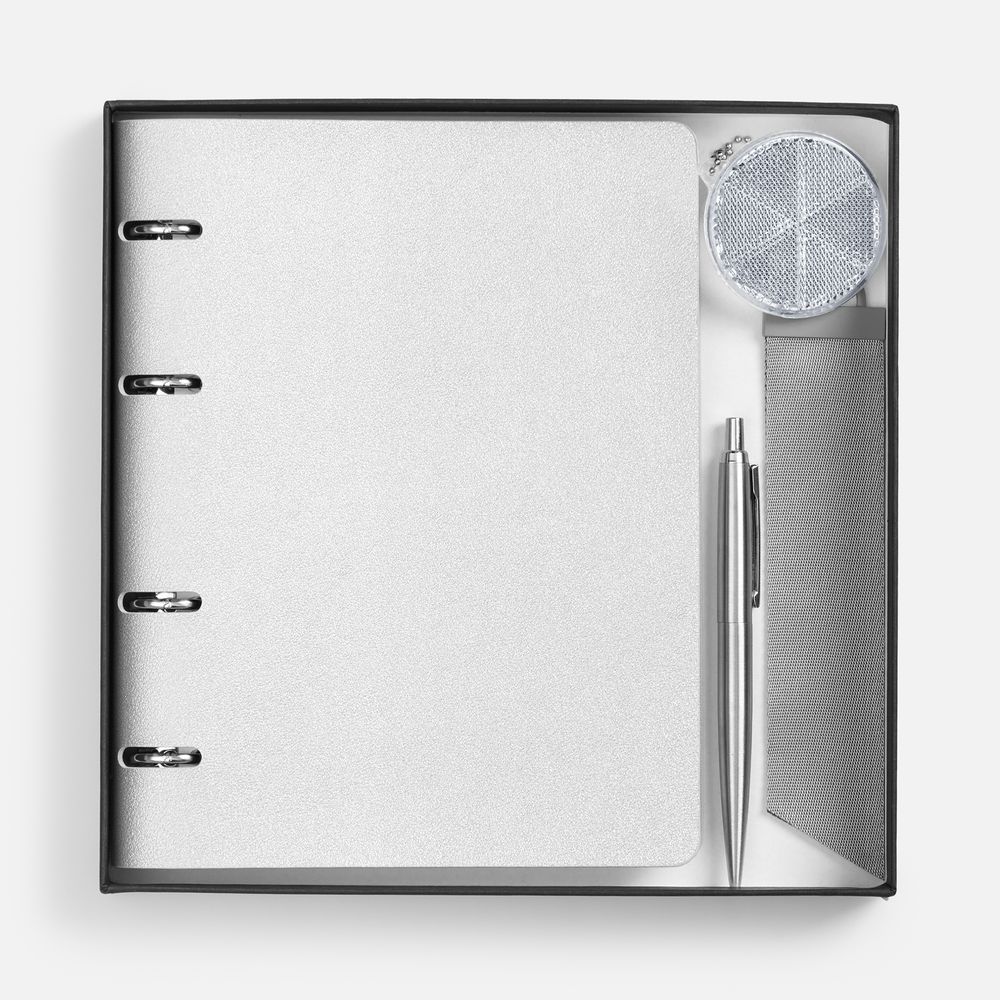 Набор Ringo, серебристый арт. 23329.10 Набор Ringo, серебристый арт. 23329.10