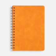 Набор Spiral Gold, оранжевый