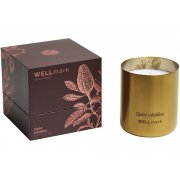 Ароматическая свеча «Quiet Rebellion» арт. 12640814