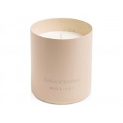 Ароматическая свеча «Echoes of Kindness» арт. 12640805