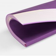 Ежедневник Flat, недатированный, фиолетовый, ver.2 арт. 17893.07