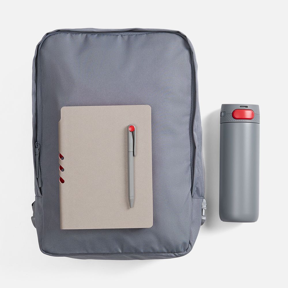 Набор Flexpen Travel, серый с красным арт. 21941.15 Набор Flexpen Travel, серый с красным арт. 21941.15