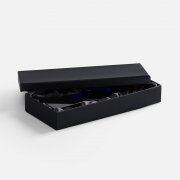 Стела Flash Forward