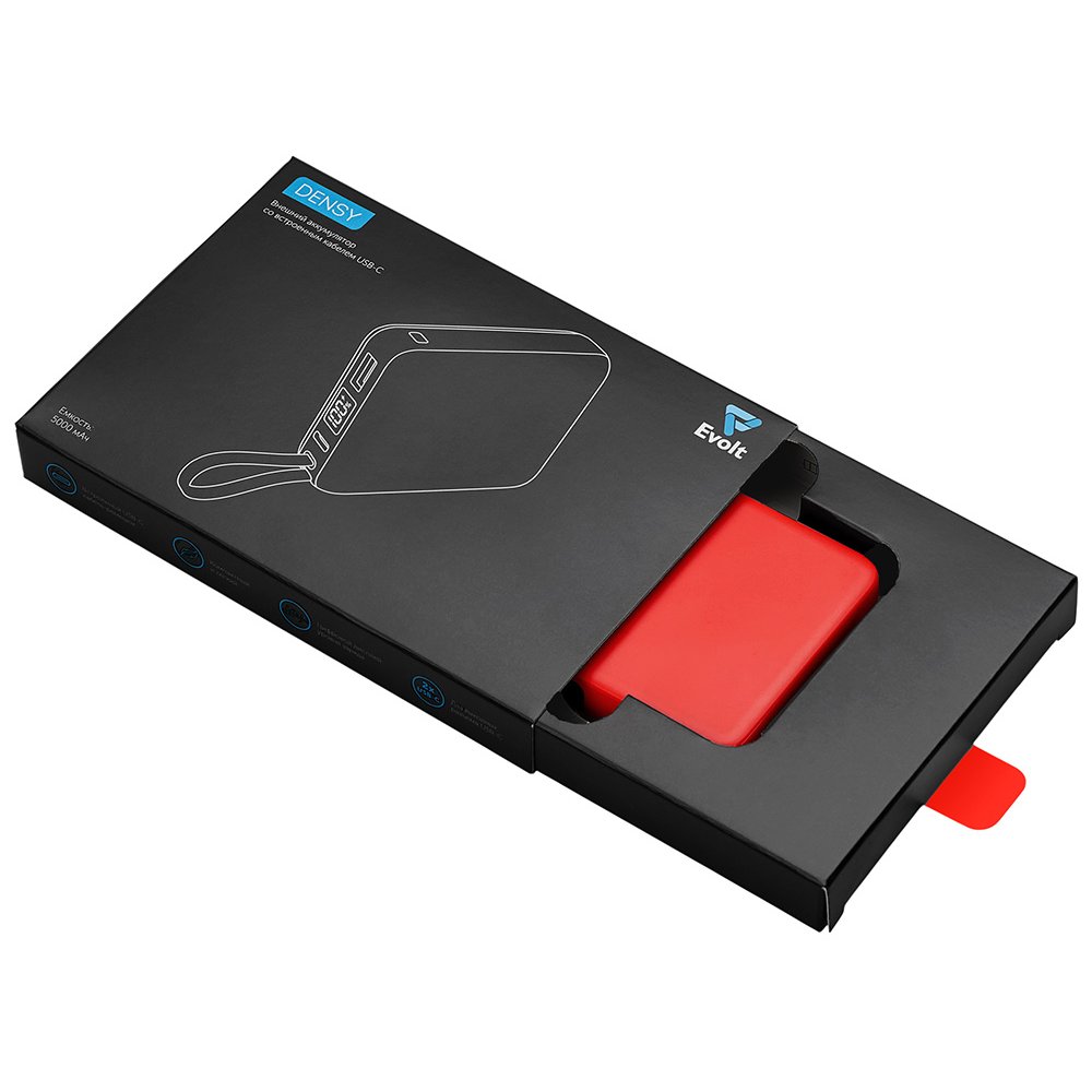 Внешний аккумулятор со встроенным кабелем USB-C «Дэнси», 5000 мАч арт. 590160.01 Внешний аккумулятор со встроенным кабелем USB-C «Дэнси», 5000 мАч арт. 590160.01