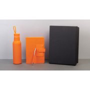 Набор "Успех" оранжевый