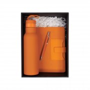 Набор "Успех" оранжевый