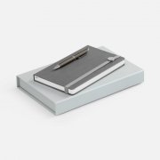 Набор Coach, серый