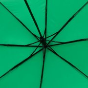 Зонт складной Basic, ver.2, зеленый