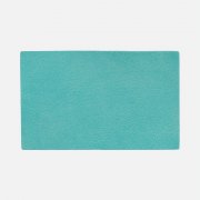 Лейбл Listra Latte, XL, бирюзовый