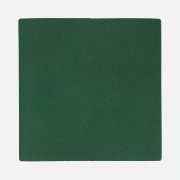 Лейбл Listra Latte, L, зеленый