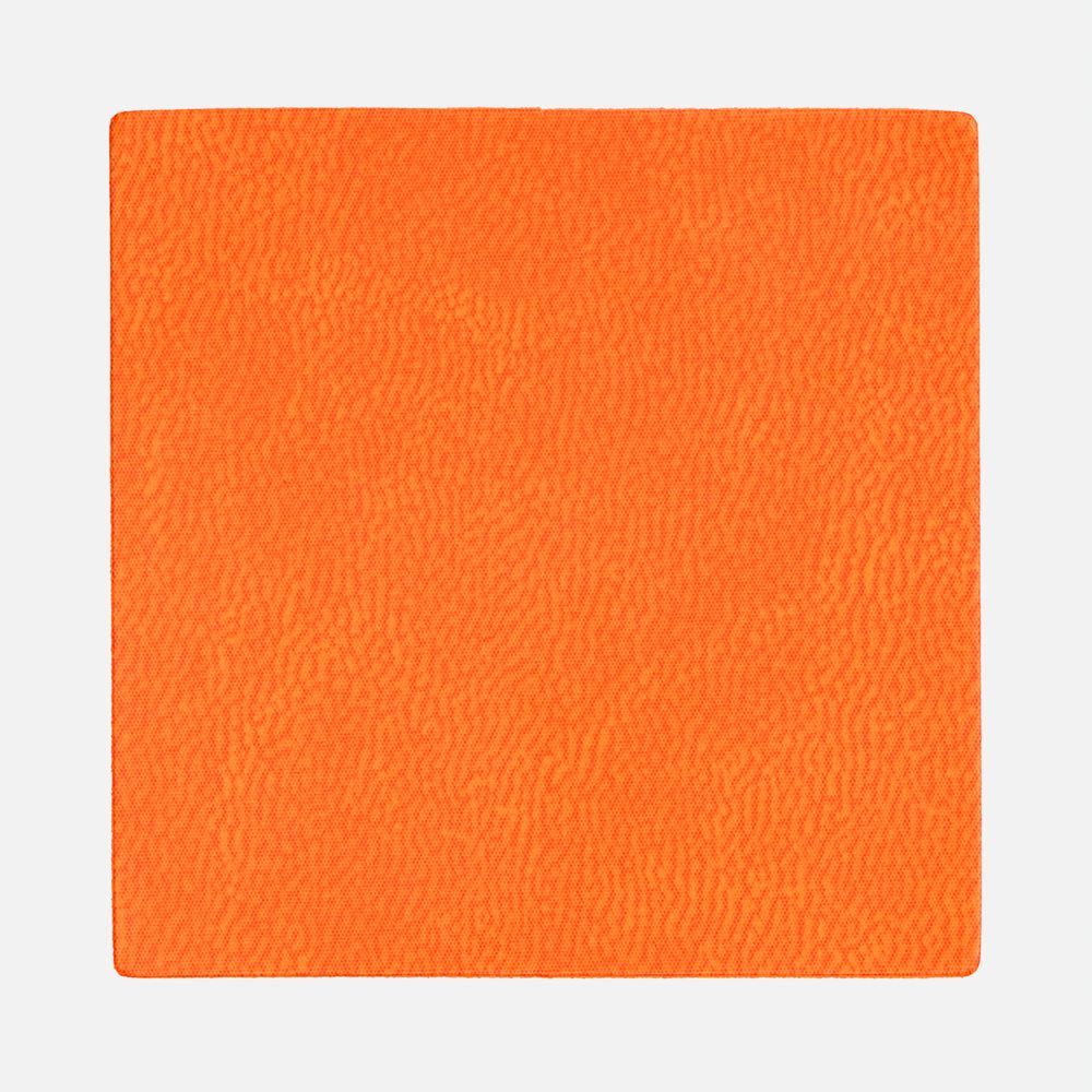 Лейбл Listra Latte, L, оранжевый арт. 19272.25 Лейбл Listra Latte, L, оранжевый арт. 19272.25