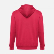 Толстовка мужская на молнии с капюшоном Amsterdam, красная