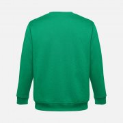 Свитшот унисекс Delta, зеленый