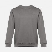 Свитшот унисекс Delta, серый