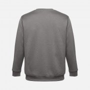 Свитшот унисекс Delta, серый