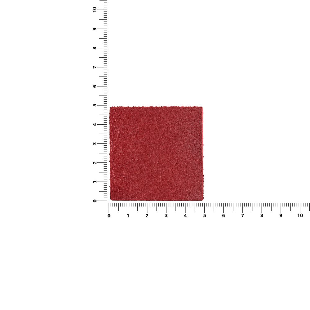 Лейбл кожаный Pasek, L, красный арт. 16574.50 Лейбл кожаный Pasek, L, красный арт. 16574.50