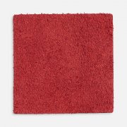 Лейбл кожаный Pasek, L, красный