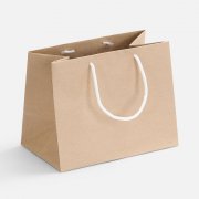 Пакет бумажный Stor, неокрашенный с белыми ручками арт. 17235.06