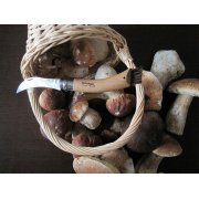 Нож грибника Opinel No 8, бук