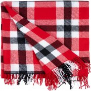 Набор Festin с красным пледом арт. 20916.50