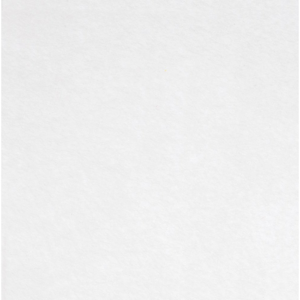 Заготовка из фетра Felt 600, белая арт. 19521.60 Заготовка из фетра Felt 600, белая арт. 19521.60