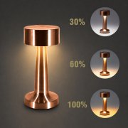 Настольная лампа cо встроенной батареей Lumette, розовое золото
